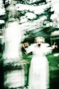 Фото  (Baby Moonbird) #451834