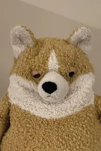 Фото  (Pickle) #385391