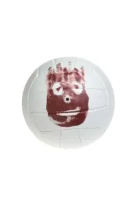 Фото  (Wilson the Volleyball)