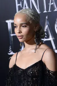 Фото Зої Кравіц (Zoë Kravitz)