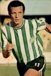 Фото  (Aladim Luciano) #452066