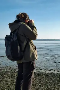 Фото  (Mortimer Basset)