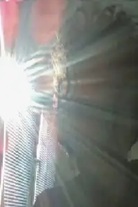 Фото  (Antonio Dimovski) #489105