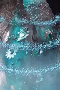 Фото  (Anežka Havrdová) #525268