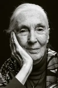 Фото Джейн Гудолл (Jane Goodall)