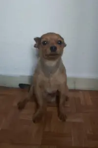 Фото  (Coby) #297078