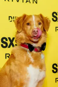 Фото  (Indy) #502273