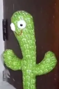 Фото  (Cactinho) #317434