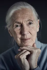 Фото Джейн Гудолл (Jane Goodall)
