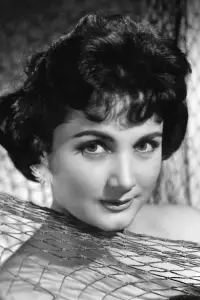 Фото  (Nevin Aypar) #509818