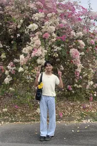 Фото  (Chitpon Paengwiengjan) #522746