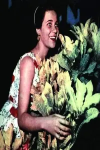 Фото  (Zubaida Tharwat)