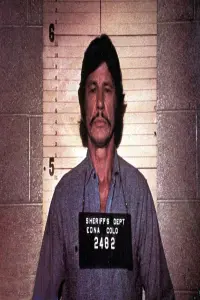 Фото Брати Бронсони (Bronson Brothers) #299749