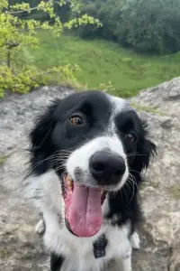 Фото  (Freddie Johnson) #506354