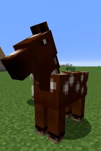 Фото  (Cheval) #423215