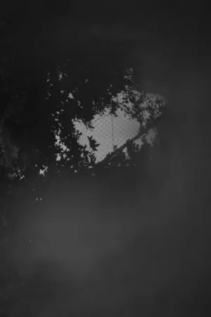 Фото Газолеан #303453