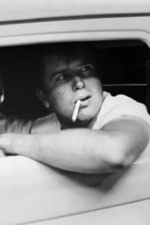 Фото Поль Ле Мат #94599