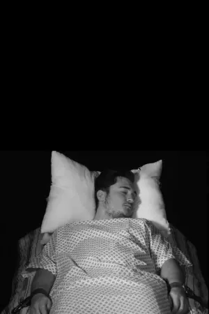 Фото  (Thomas Tricerri) #311531