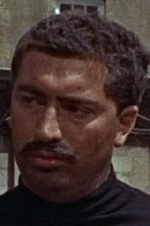 Фото Пітер Брейгем #74125