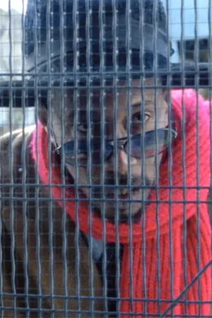 Фото Арчі Пул #136228