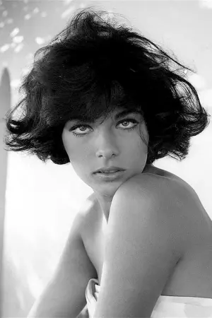 Фото Марілу Толо #109051