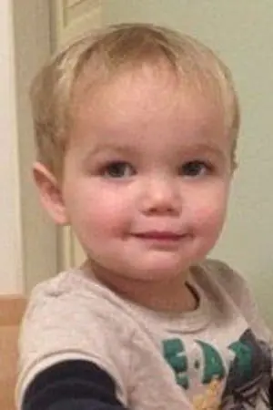 Фото Ведмідь Лоуренс #10784