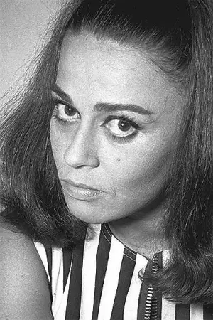 Фото Норма Бенгел (Norma Bengell) #328556