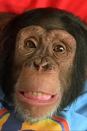 Фото Луї #342577