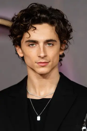 Фото Тімоті Шаламе (Timothée Chalamet) #1123