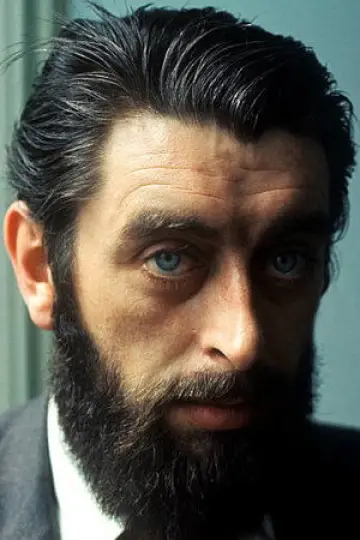Фото Ronnie Drew