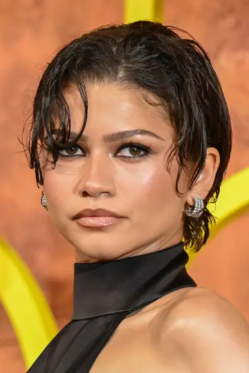 Фото Зендея (Zendaya) #400270