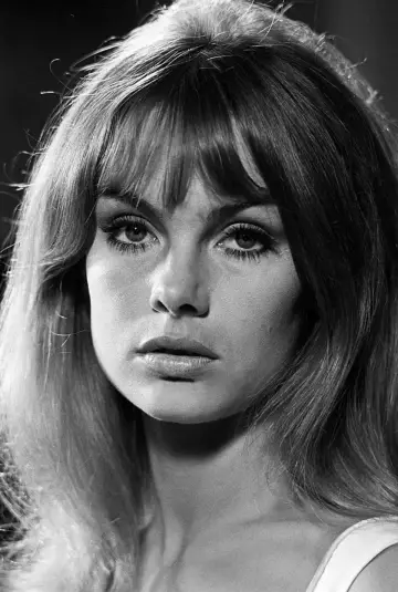 Фото  (Jean Shrimpton) #640088