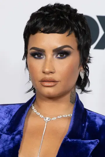 Фото Демі Ловато (Demi Lovato) #38907