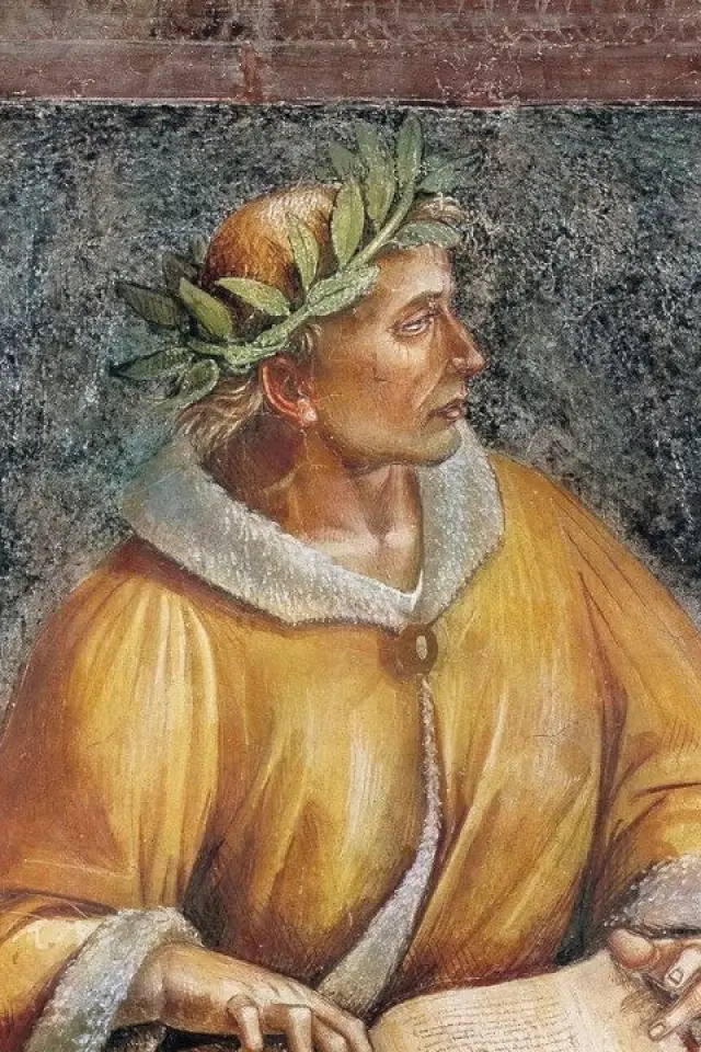 Фото  (Ovid)
