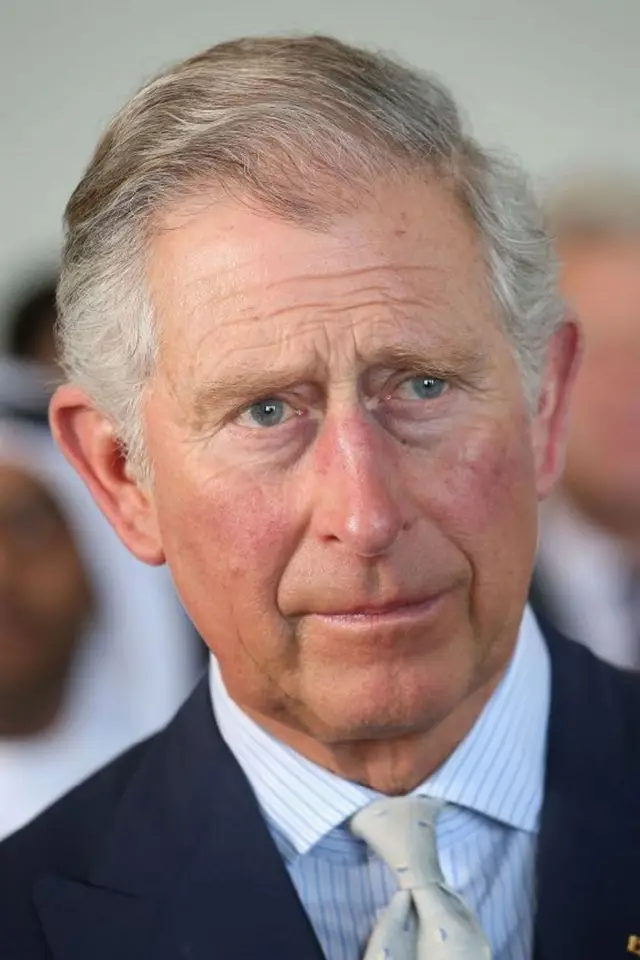 Фото Чарльз III, король Великої Британії (King Charles III of the United Kingdom)