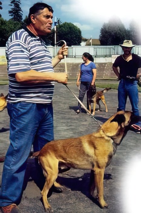 Фото  (André Noël)