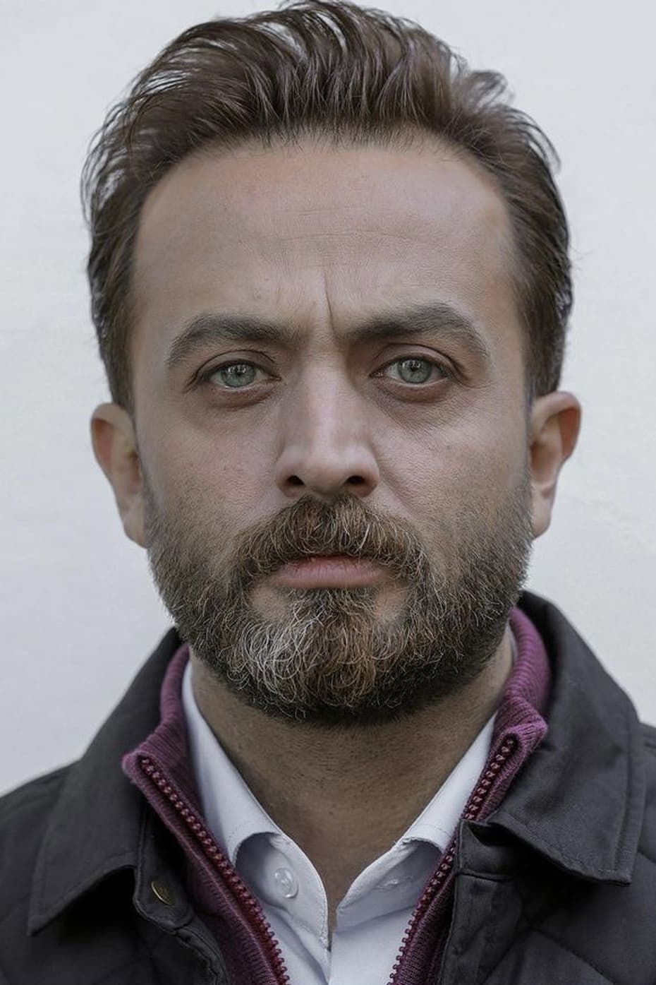 Фото  (Mostafa Zamani)