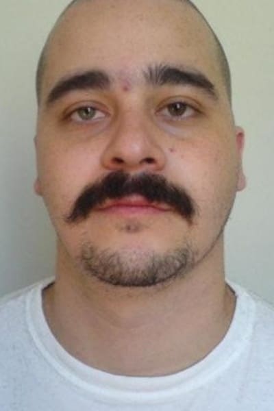 Фото  (Leo Pyrata)