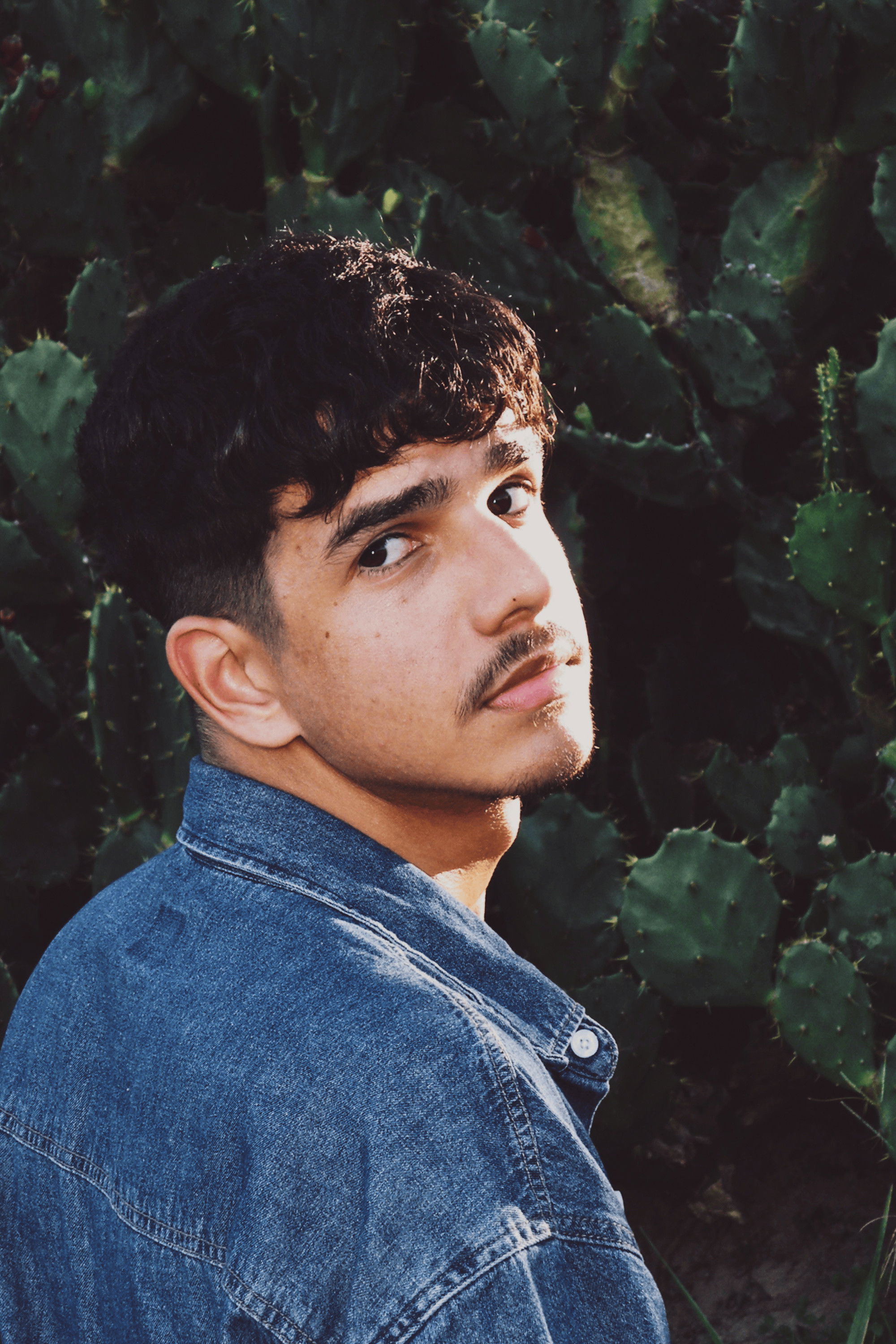 Фото Чапля Кондор (Heron Condor)