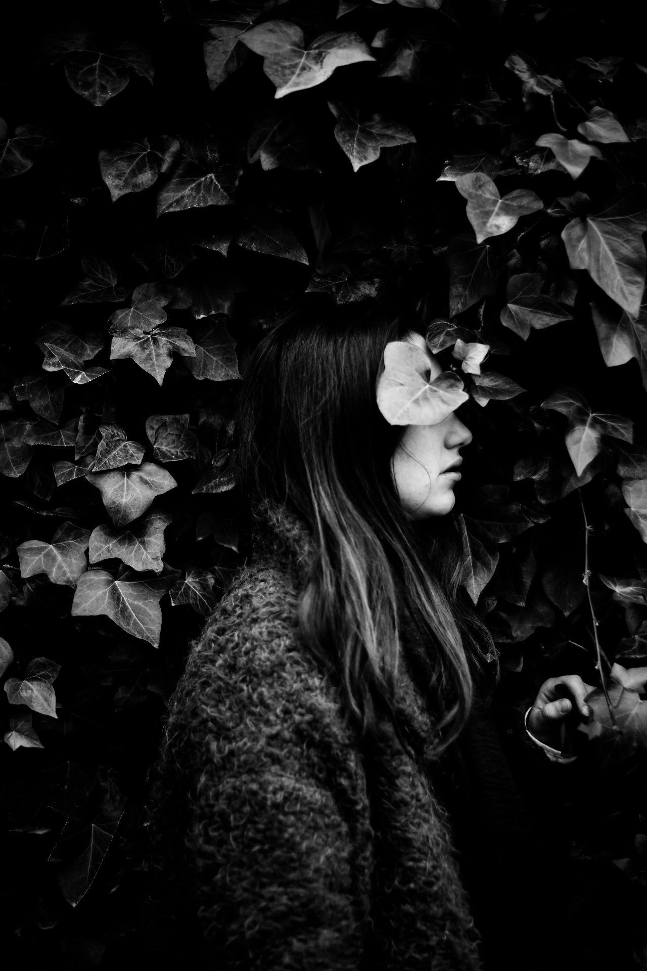 Фото  (Alexandra Iglesias)