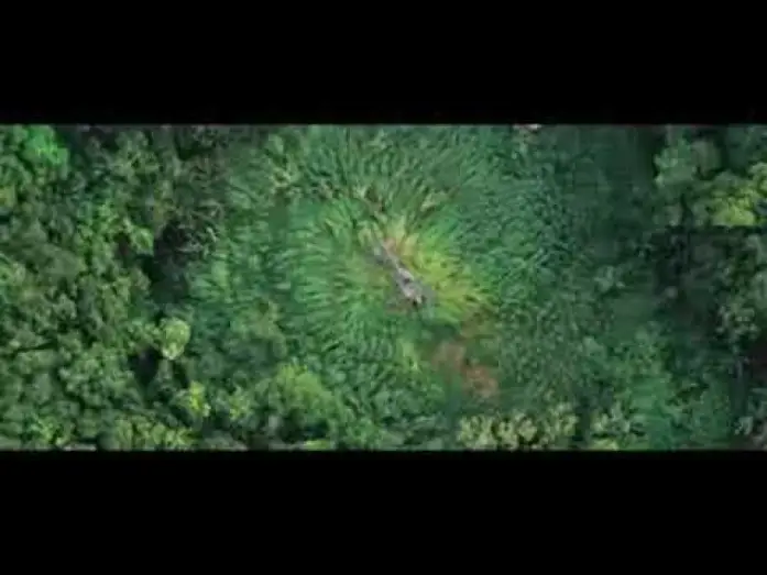 Відео до фільму Грім у тропіках | Tonnerre Sous Les Tropiques - ba 2 VOST