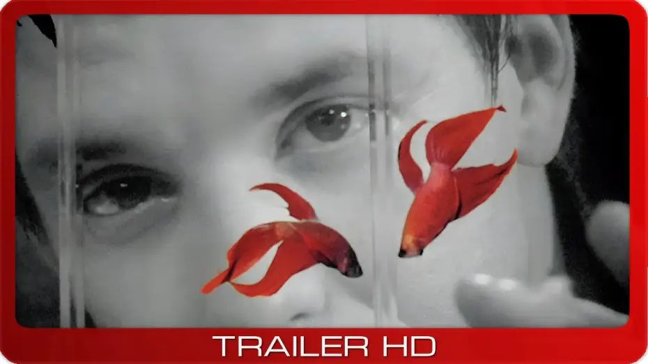 Відео до фільму Бійцівська рибка — Rumble Fish ≣ 1983 ≣ Trailer ≣ Remastered ≣ German | Deutsch
