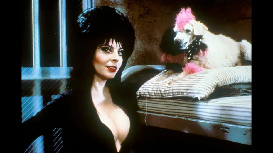 Відео до фільму Ельвіра — володарка темряви — Trailer - ELVIRA, HERRSCHERIN DER DUNKELHEIT (1988, Cassandra Peterson)