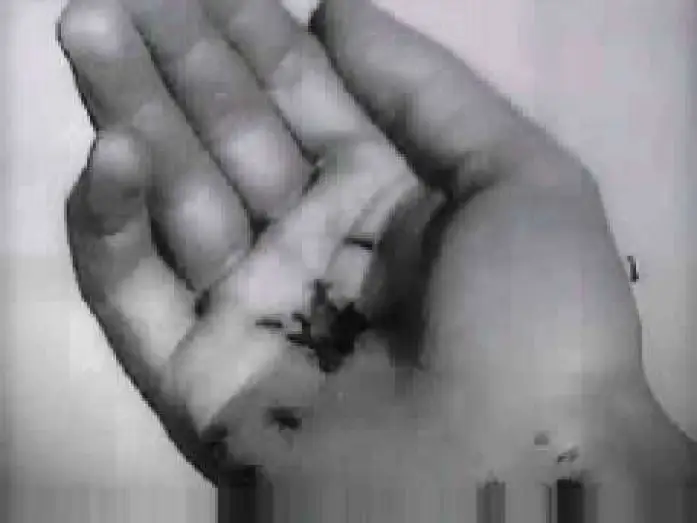 Відео до фільму Андалузький пес — Un Chien Andalou - Trailer