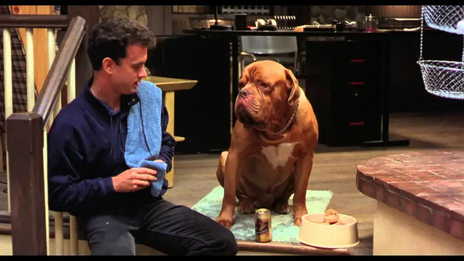 Відео до фільму Тернер і Гуч — Turner & Hooch (Bande annonce Vf)