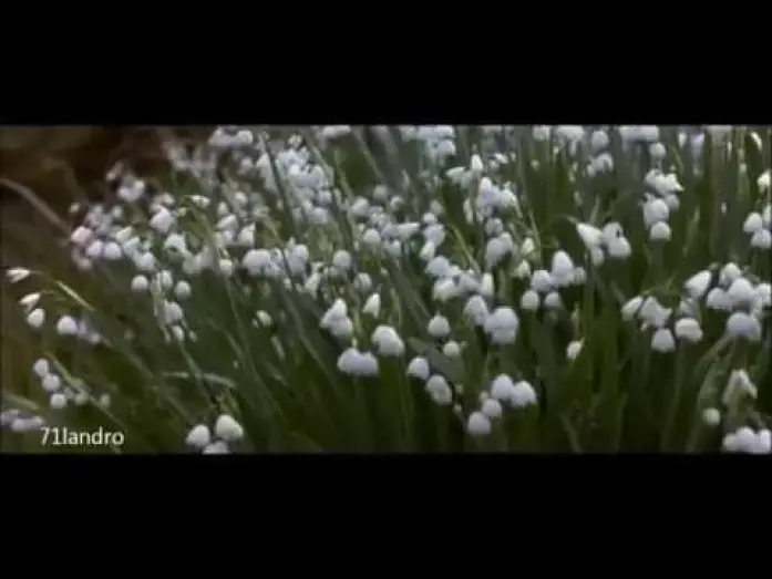 Відео до фільму Говардс Енд — Regreso a Howards End: Fragmento de la muerte y las flores