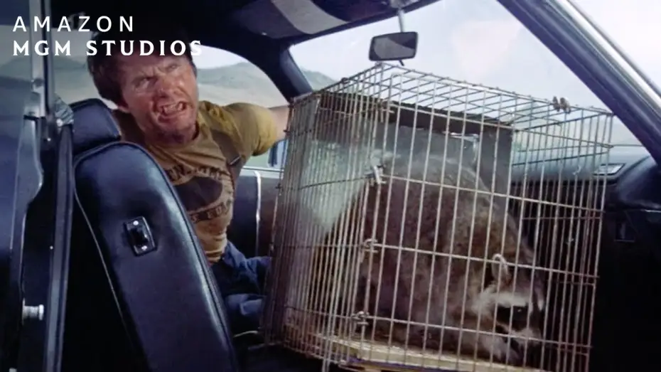 Відео до фільму Громило і Спритник / Блискавка і стрибунець — Hitchhiking With A Raccoon