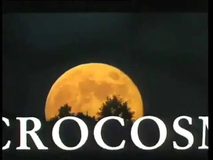 Відео до фільму Microcosmos : Le peuple de l'herbe — Microcosmos Le peuple de l'herbe (1996) - Bande Annonce