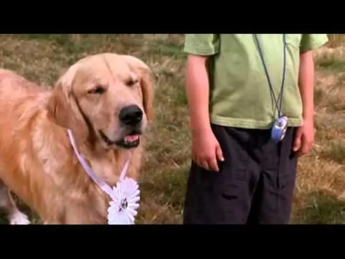 Відео до фільму Принци повітря — Air Bud - bande annonce