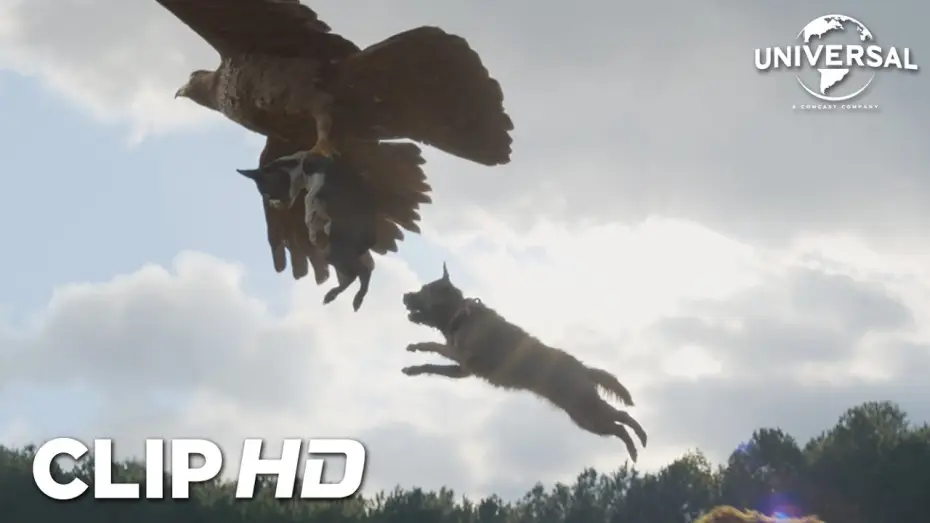 Відео до фільму Кудлаті перці — Clip - Podría ser peor